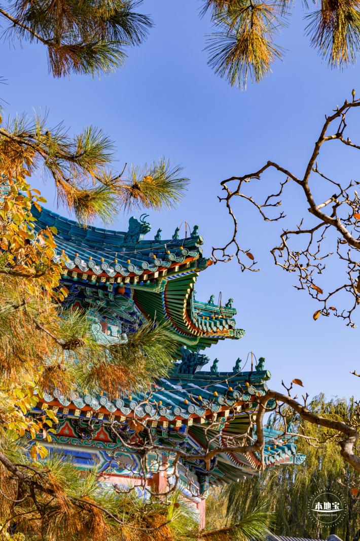 中山公园（雪）