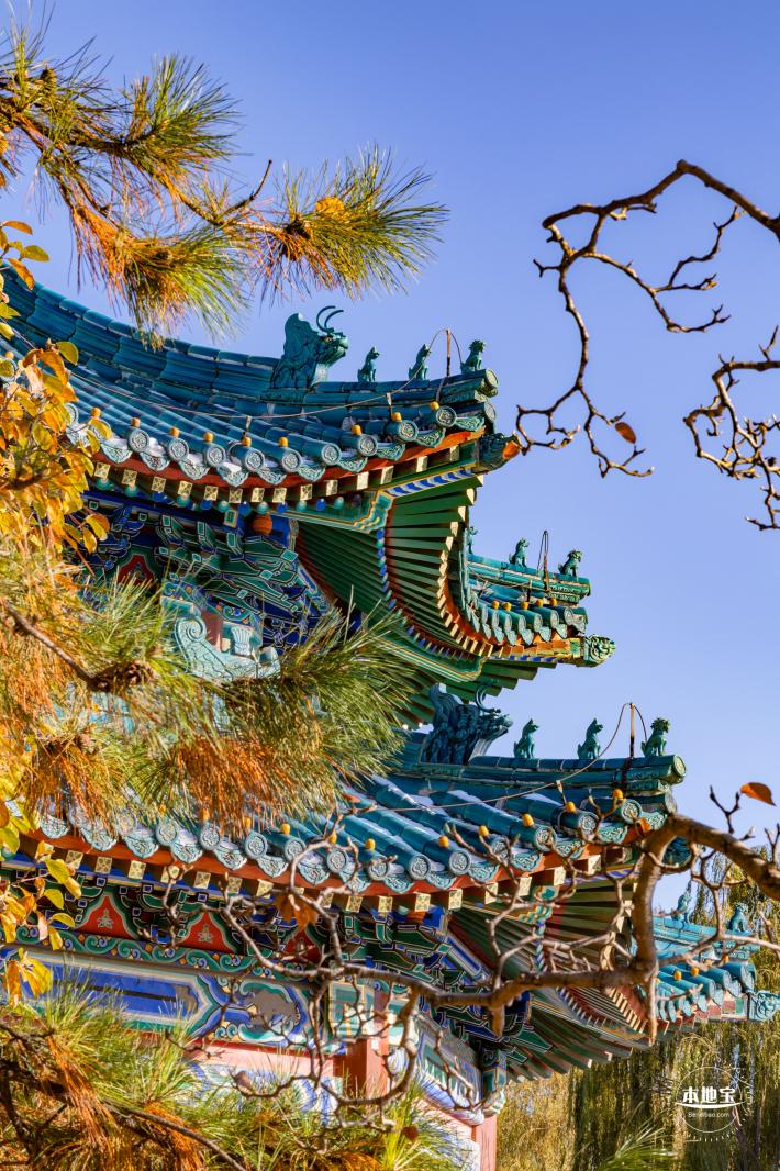 中山公园（雪）