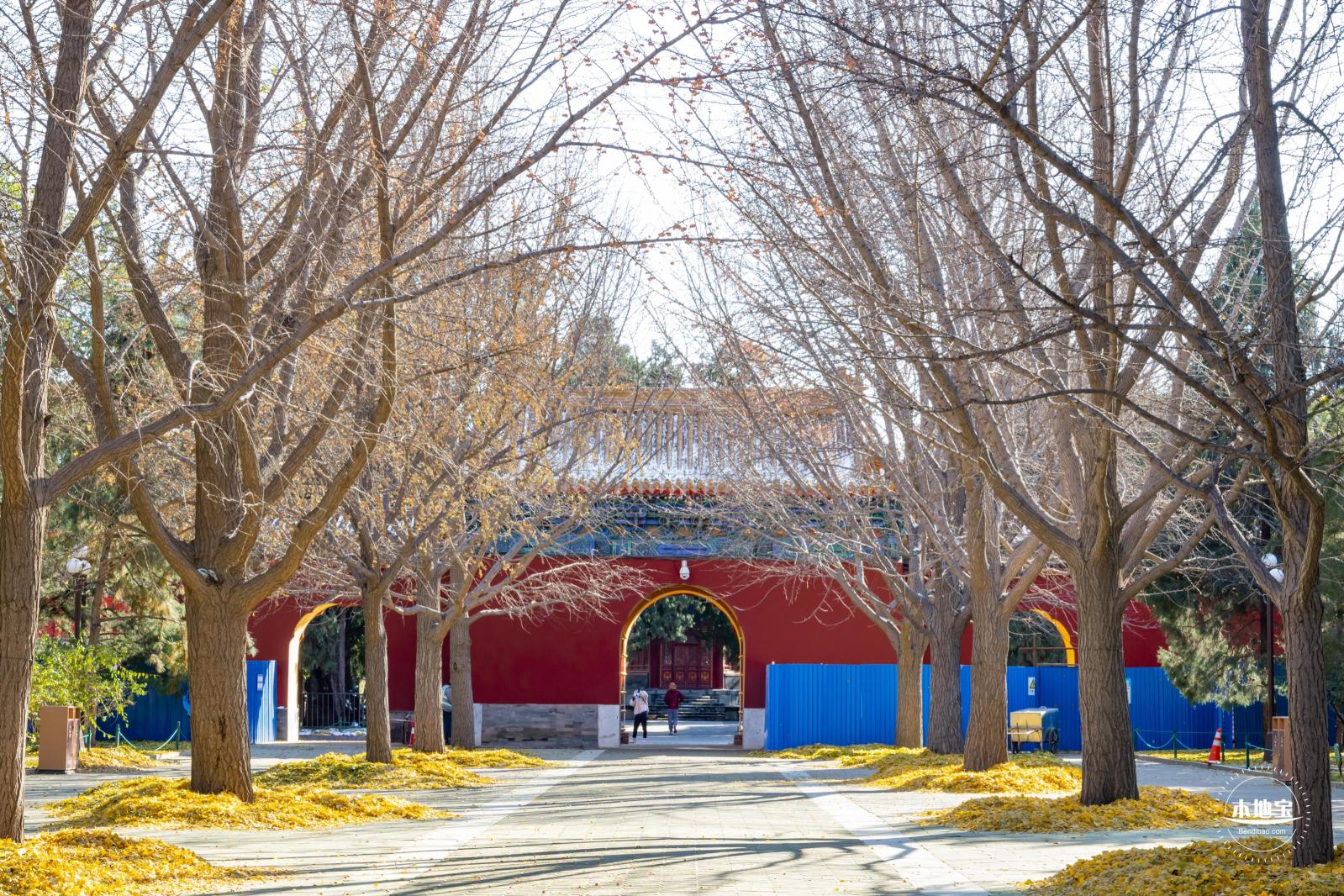中山公园（雪）
