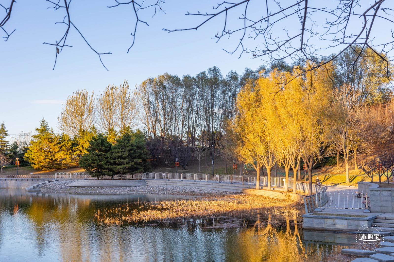 大望京公园