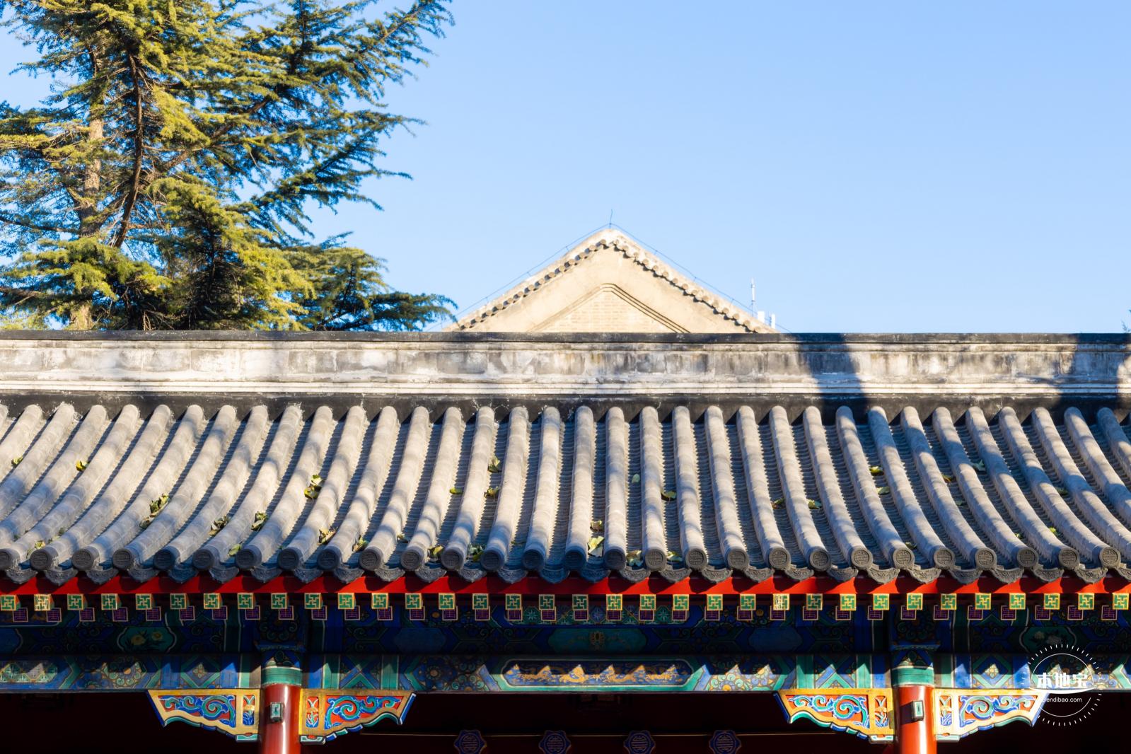 中法大学旧址