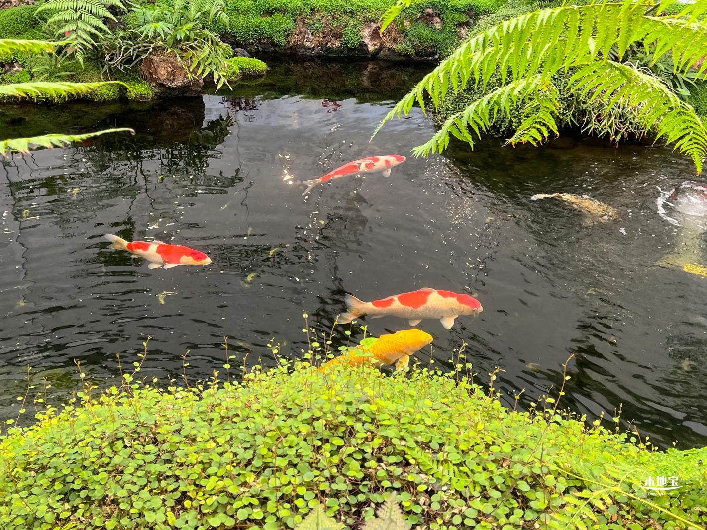 罗红摄影艺术馆