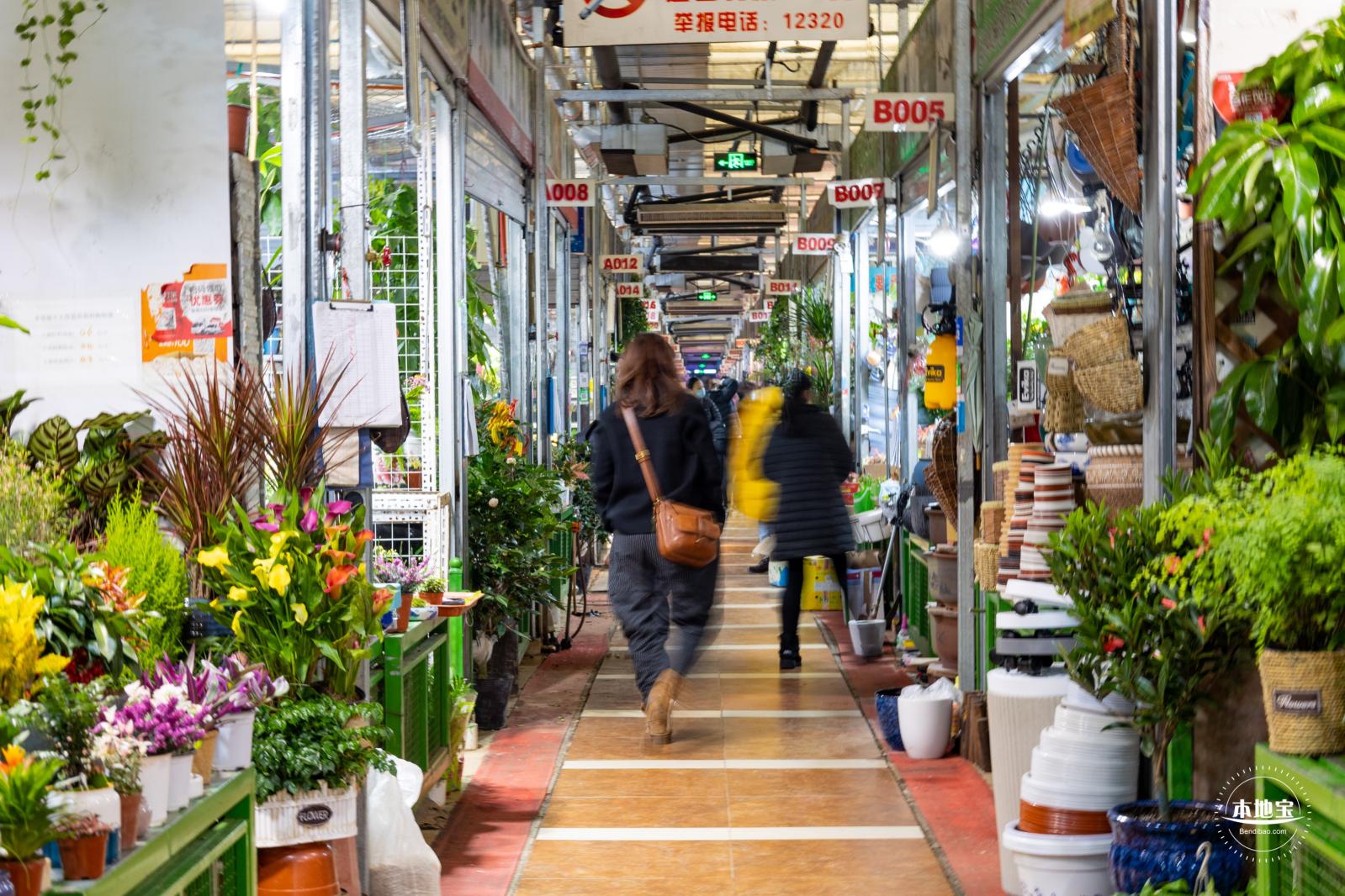 中国最大的花卉市场，鲜花白菜价，卖花像卖菜