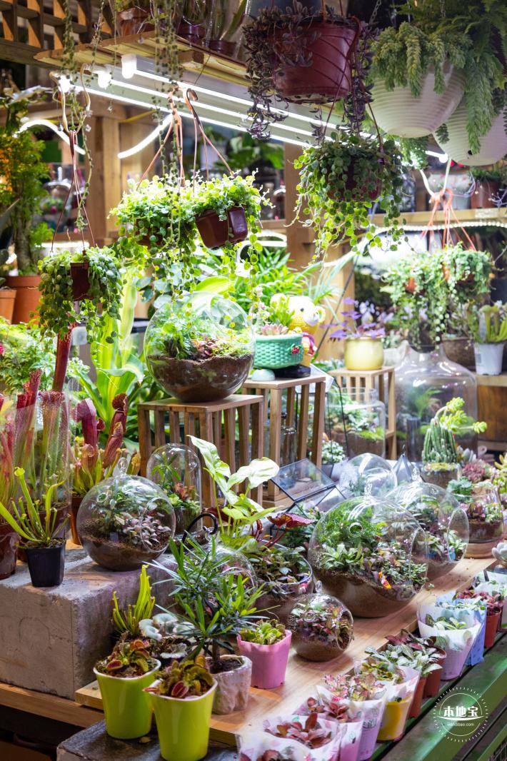 花卉市场