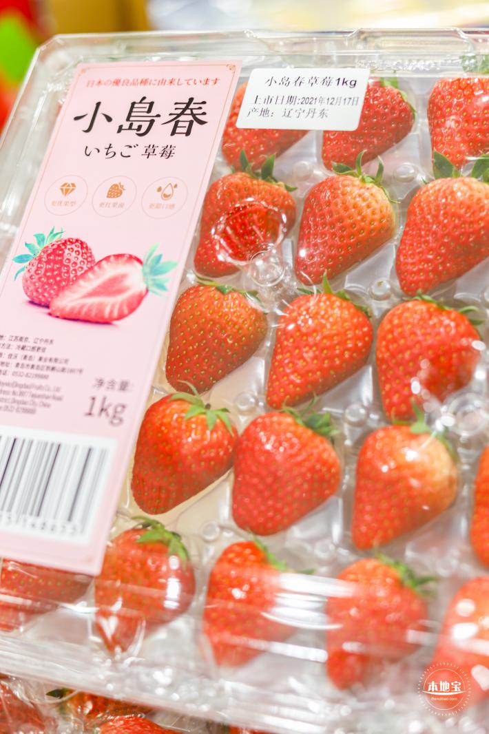 成都采编
