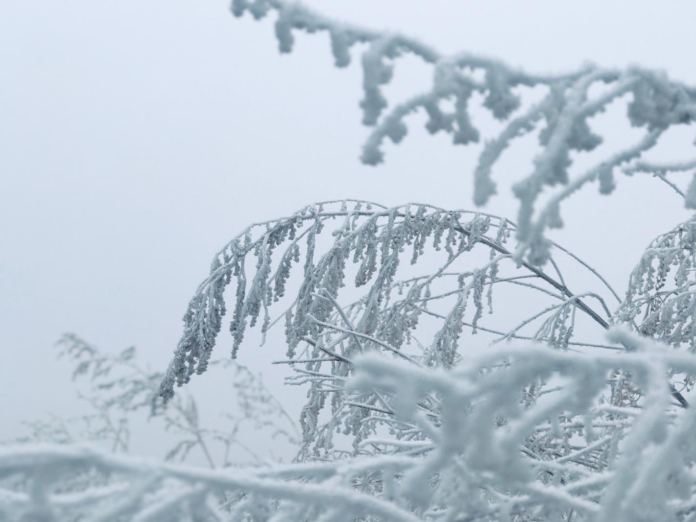 雪（内蒙古篇）