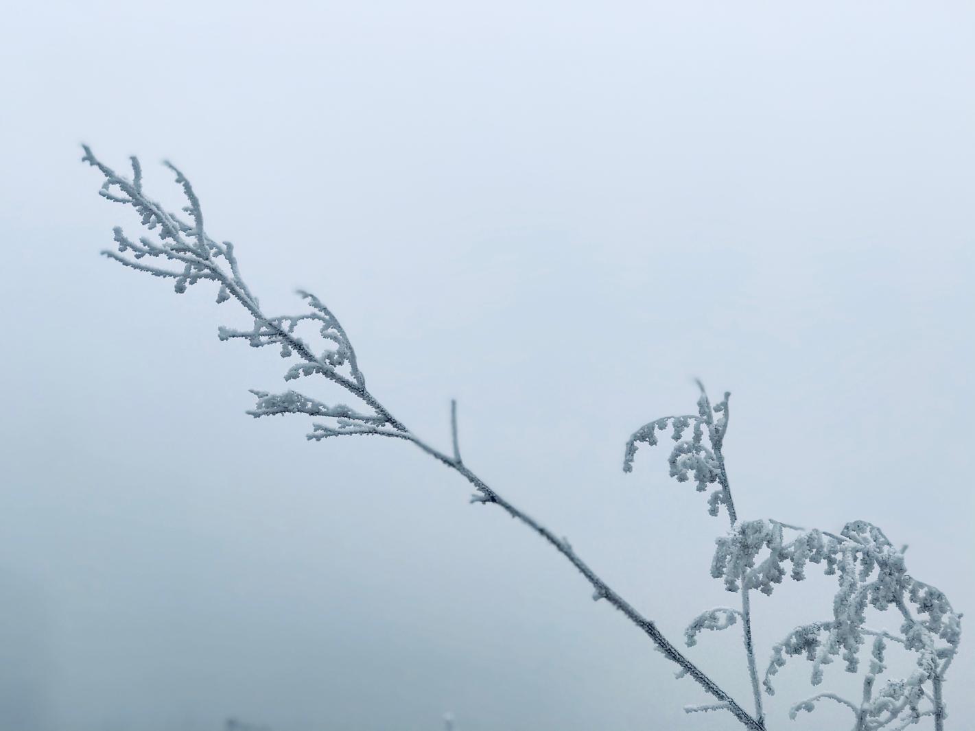 雪（内蒙古篇）