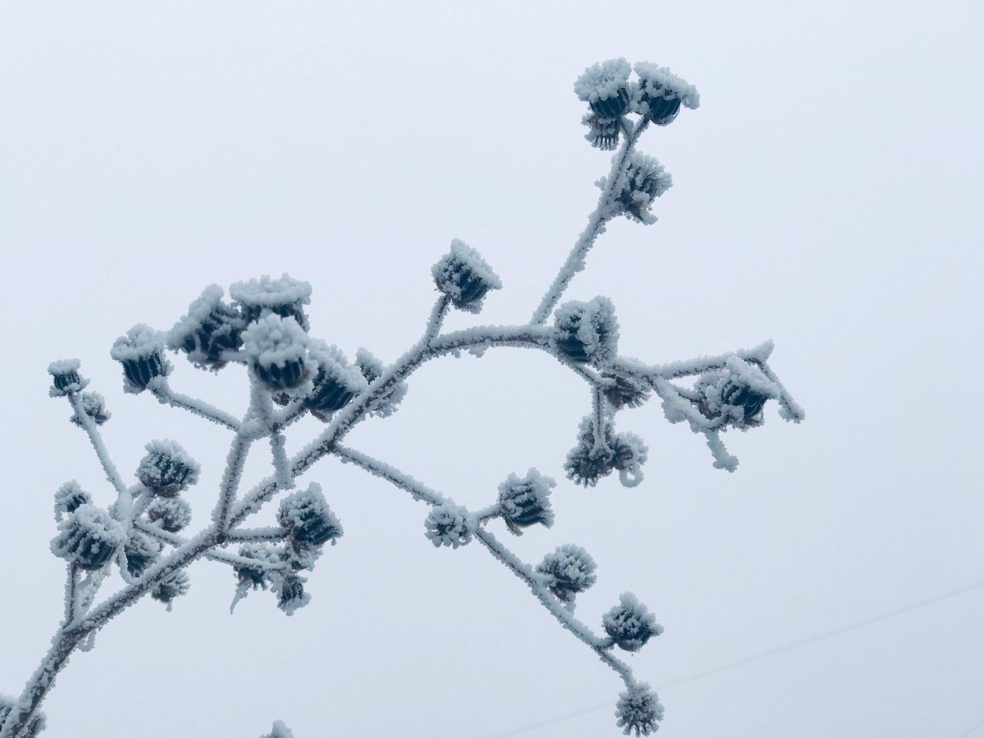 雪（内蒙古篇）
