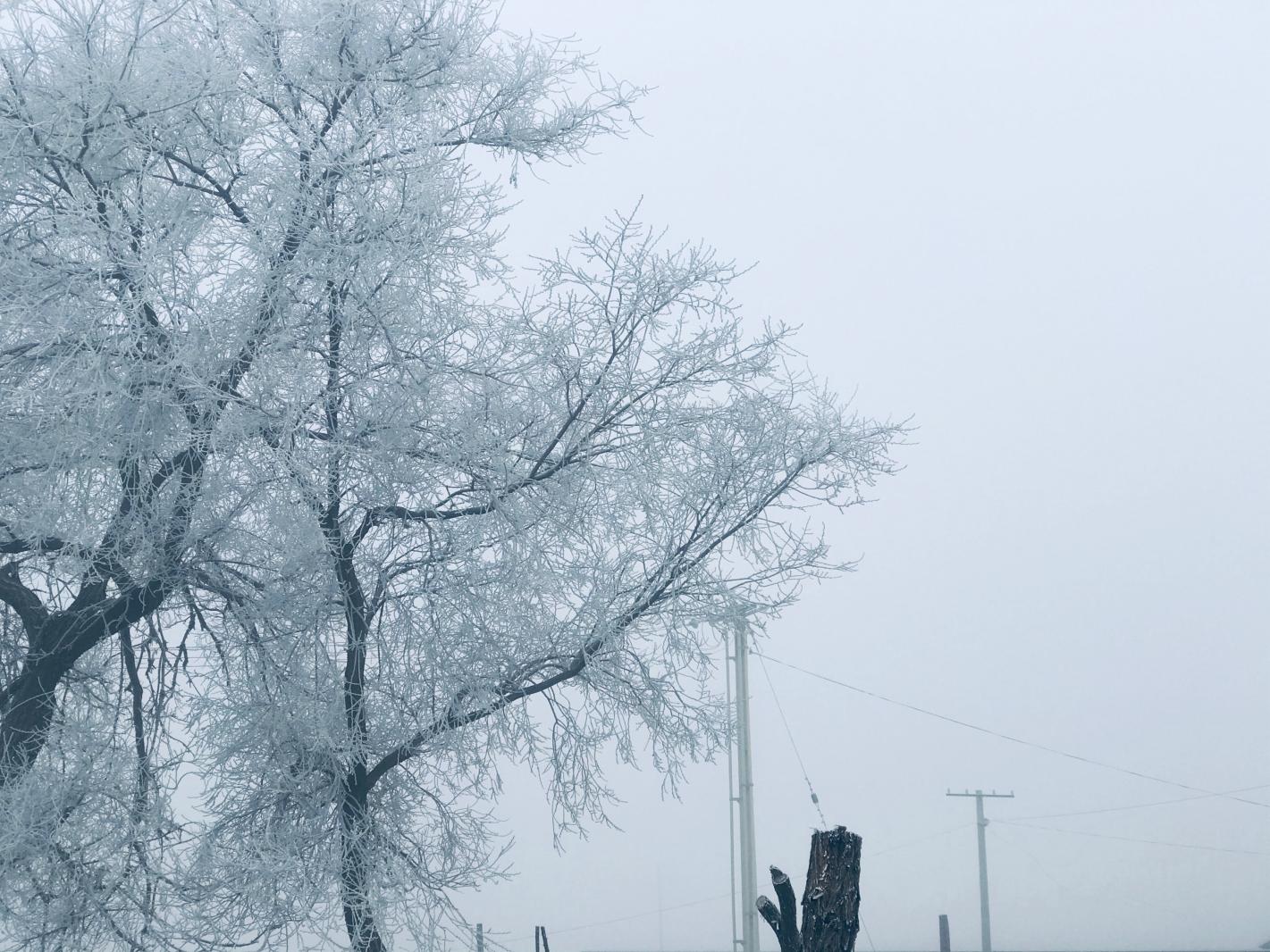 雪（内蒙古篇）