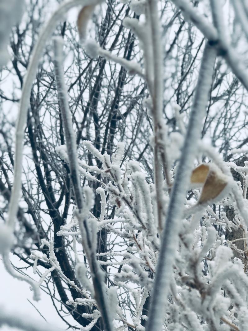 雪（内蒙古篇）