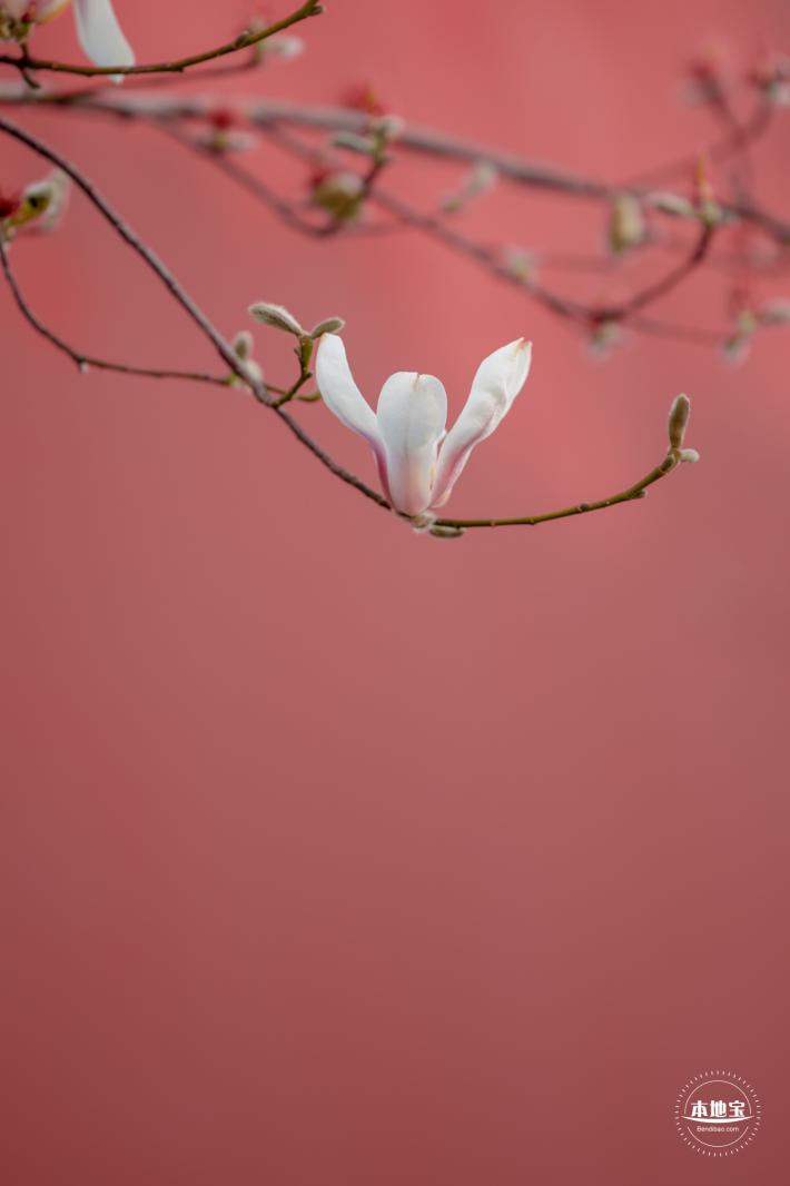 故宫博物院东华门外墙