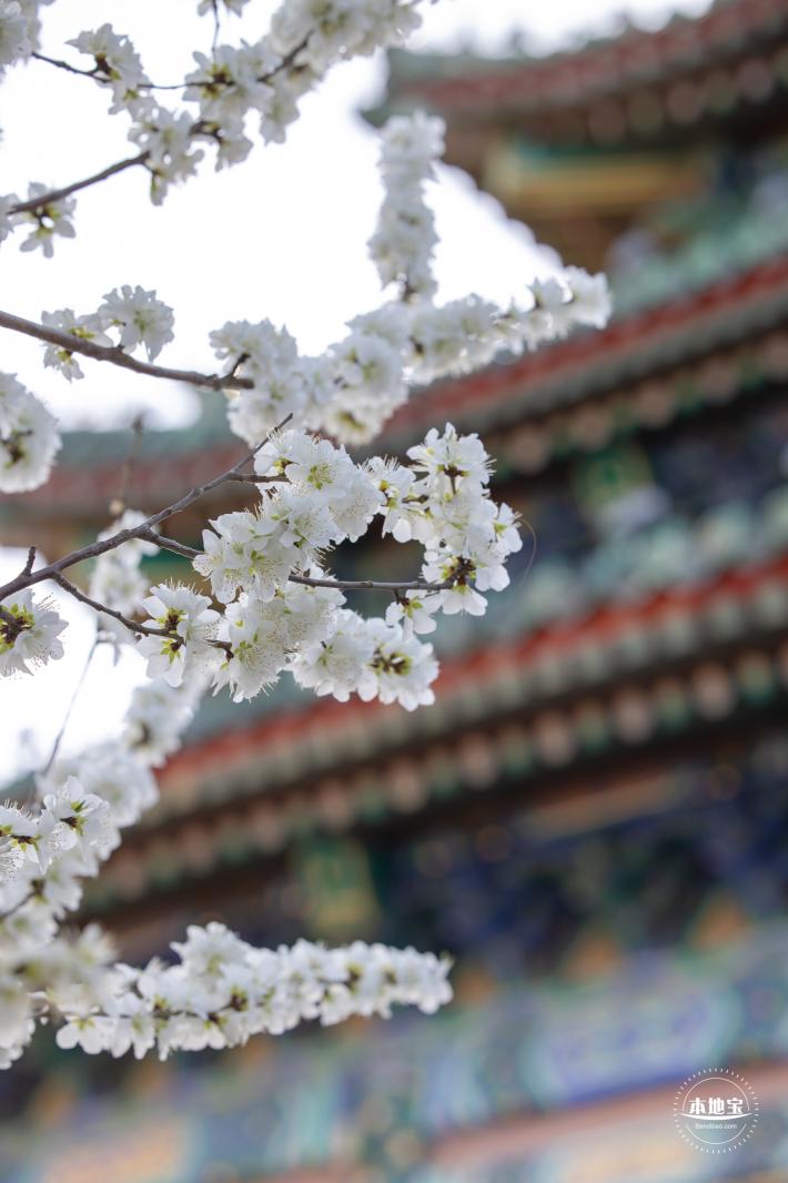 景山公园