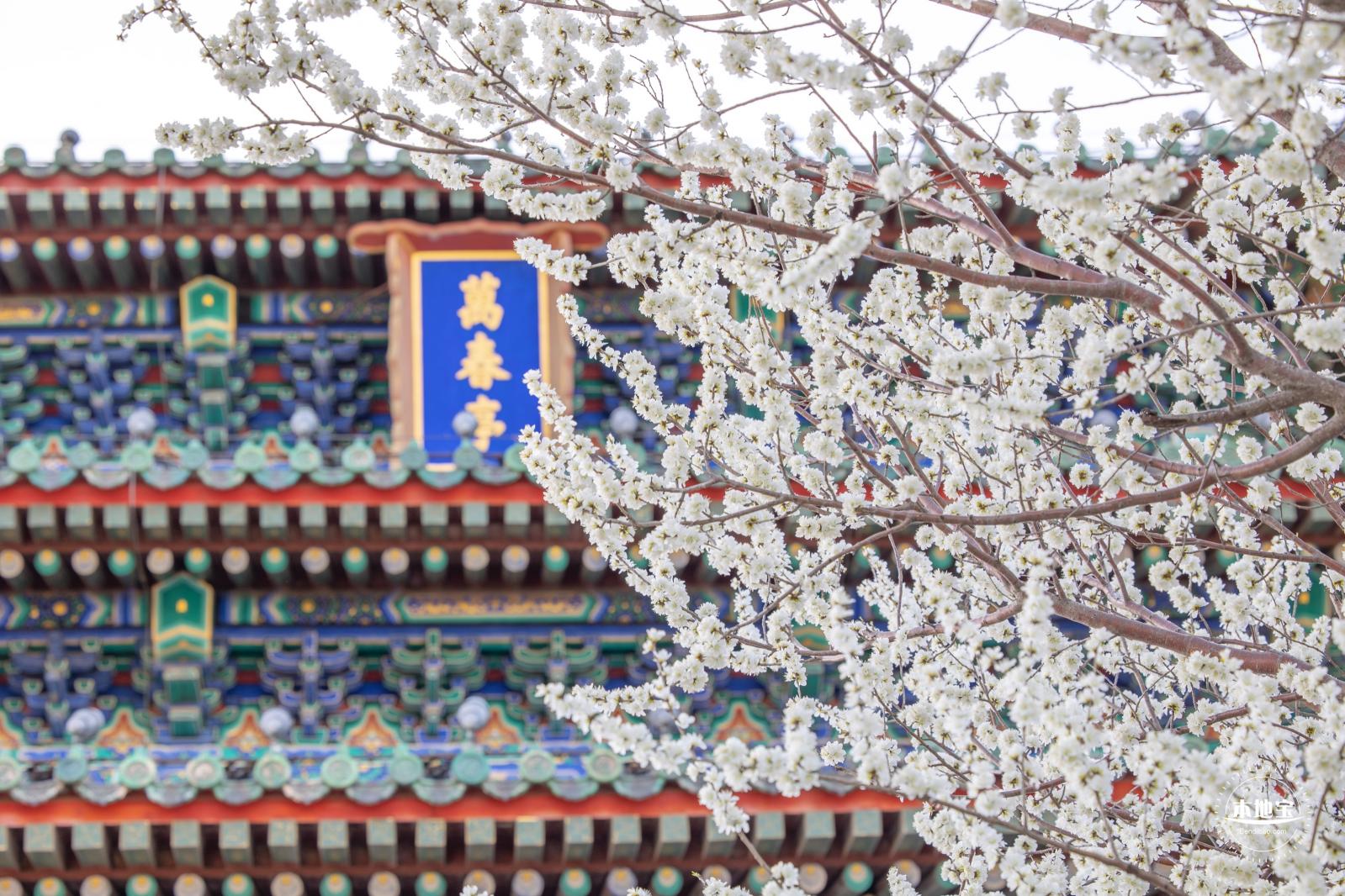 景山公园