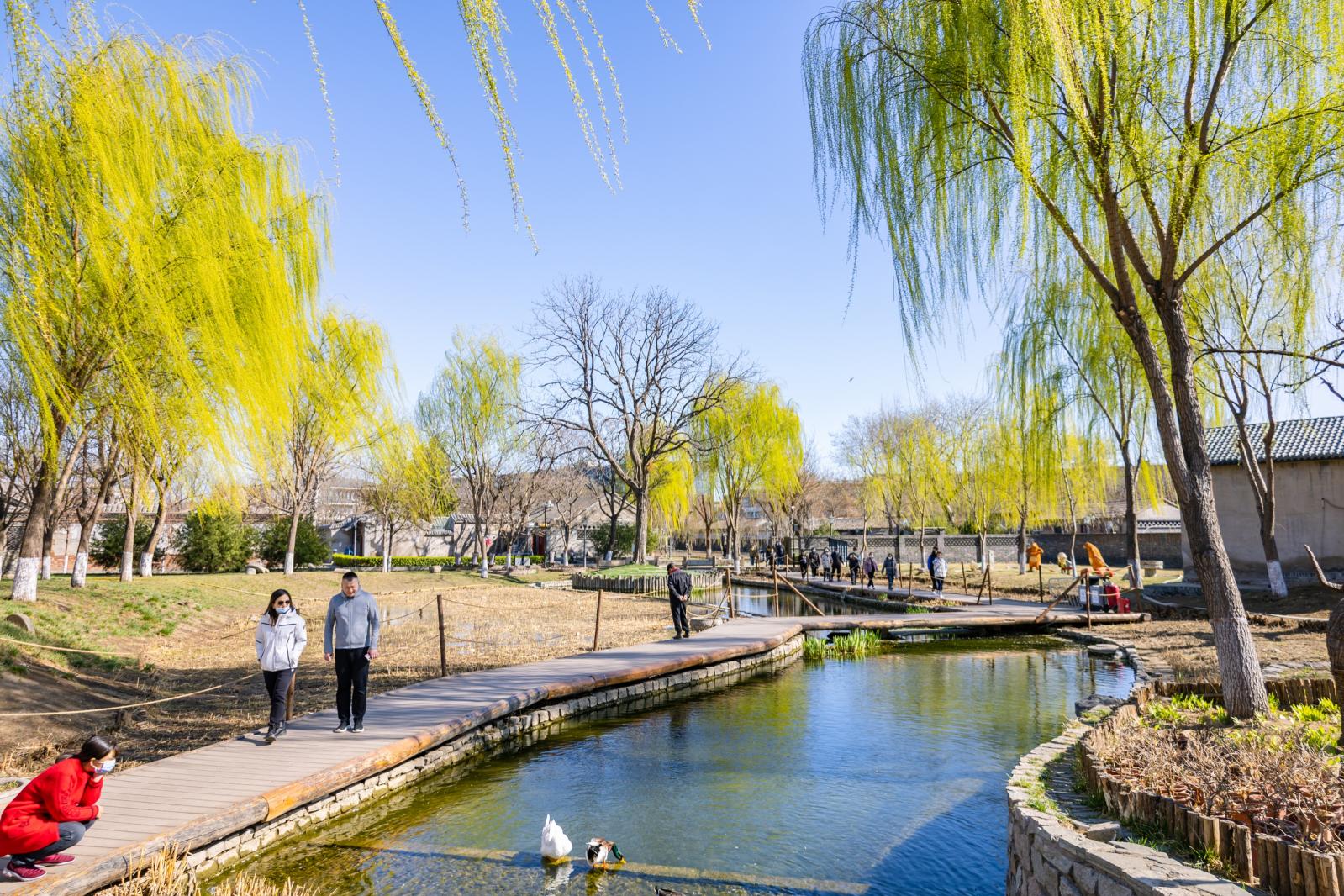 2019三里河公园-旅游攻略-门票-地址-问答-游记点评，北京旅游旅游景点推荐-去哪儿攻略