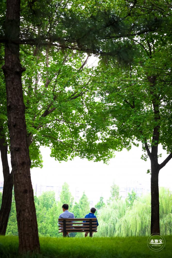 北小河公园