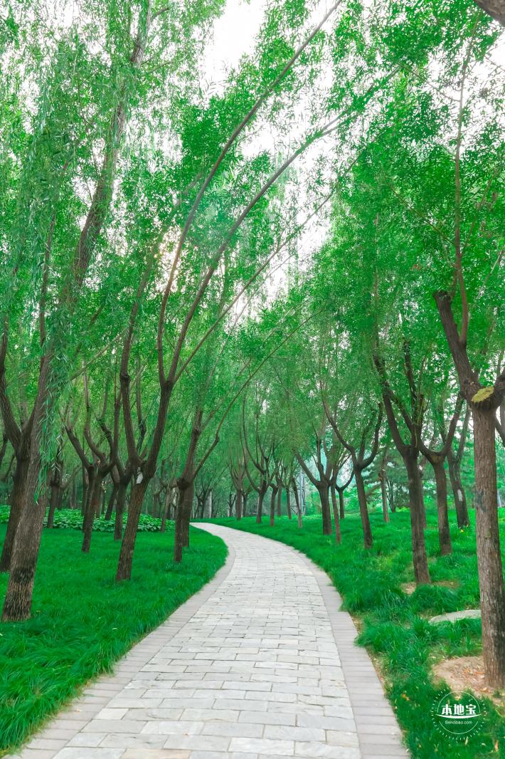 北小河公园