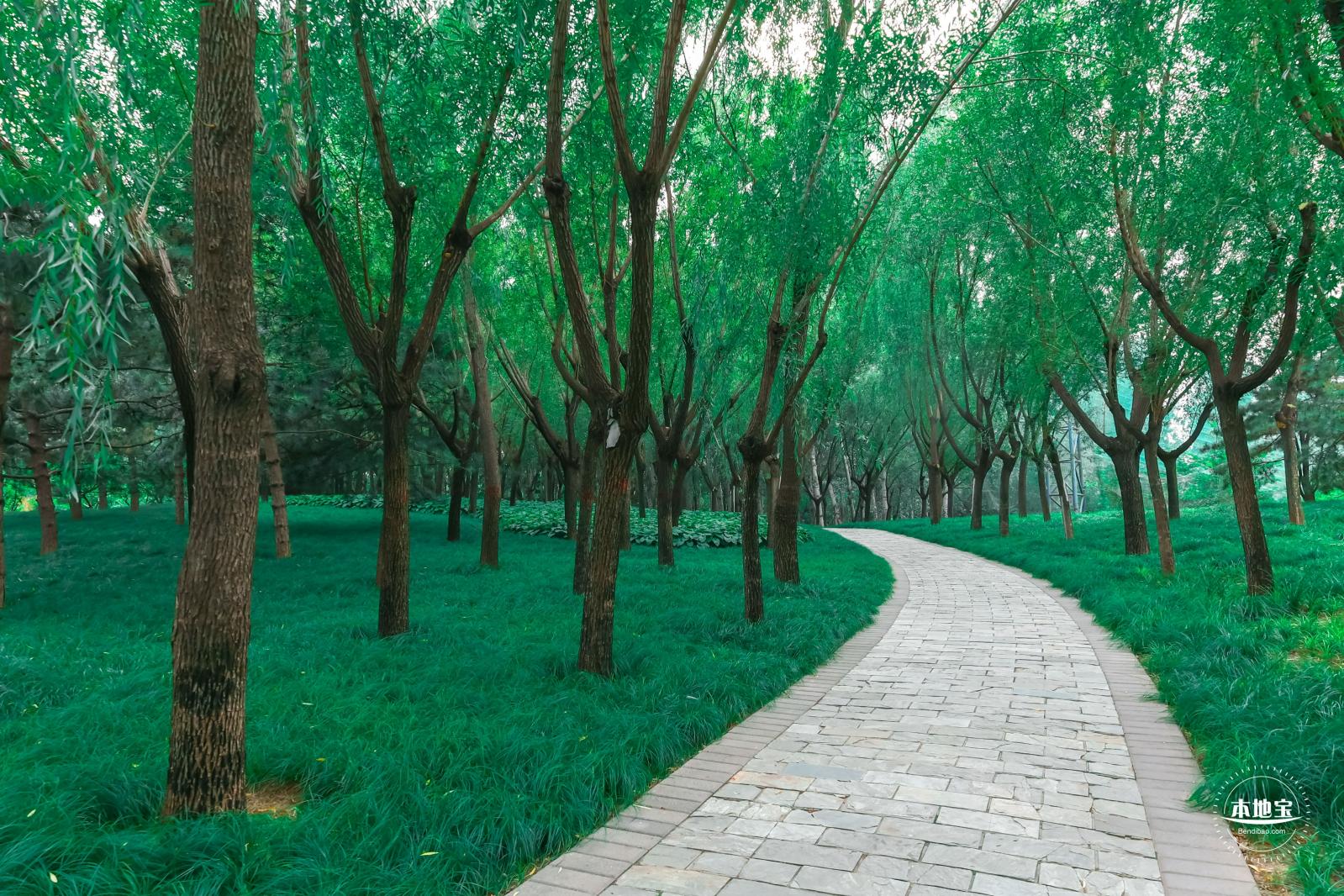 北小河公园