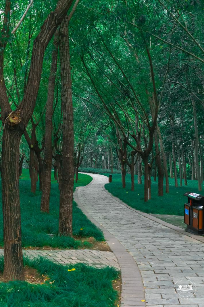 北小河公园