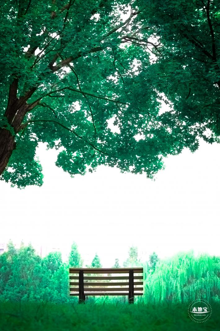 北小河公园