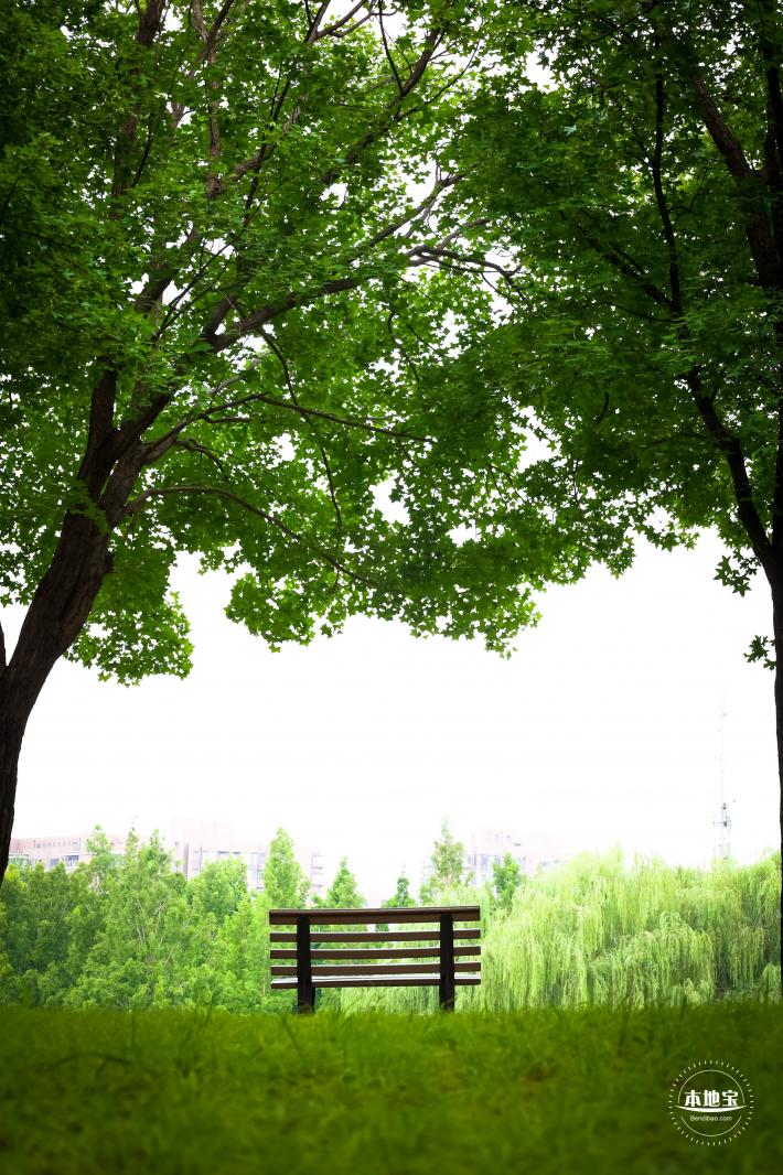 北小河公园