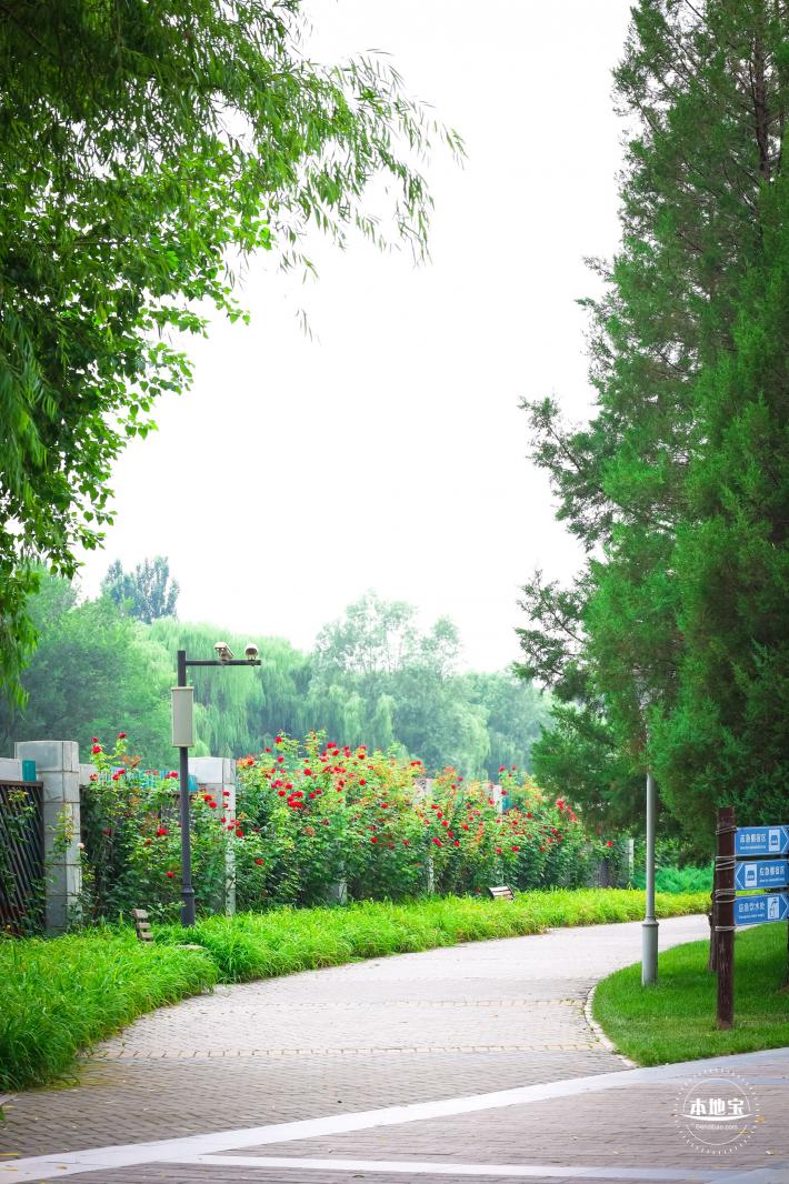 北小河公园