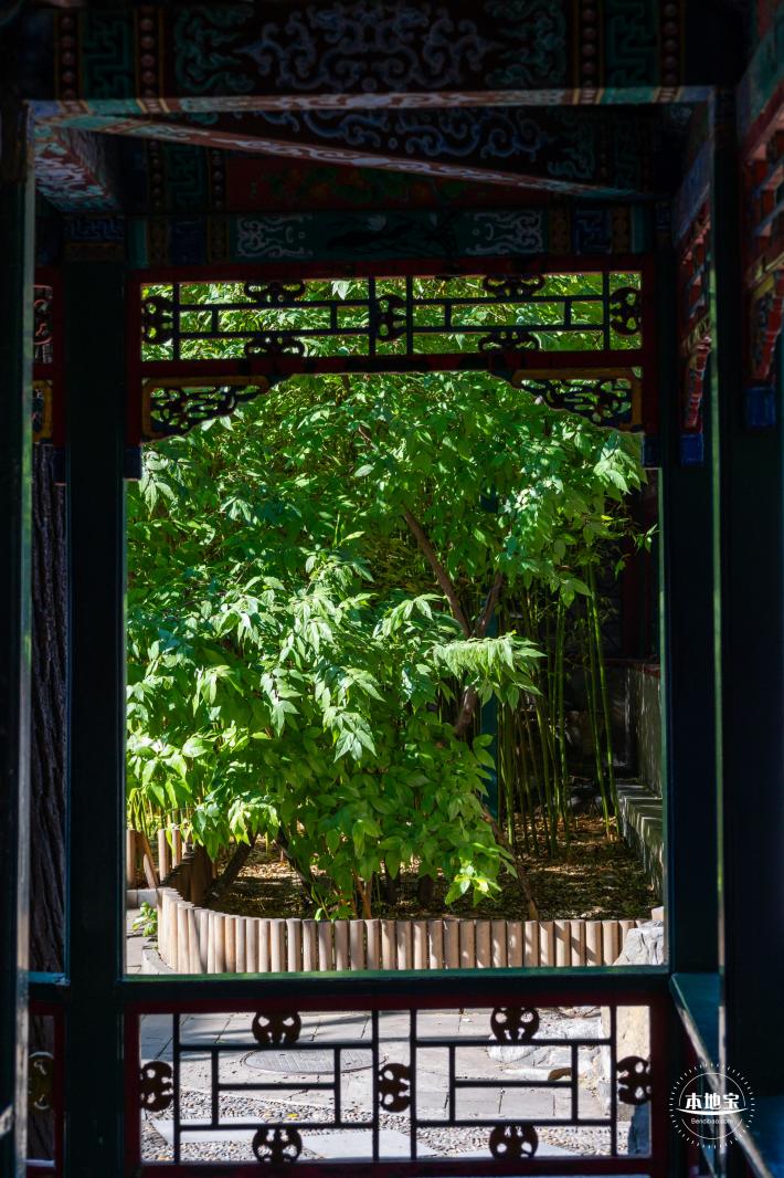 恭王府