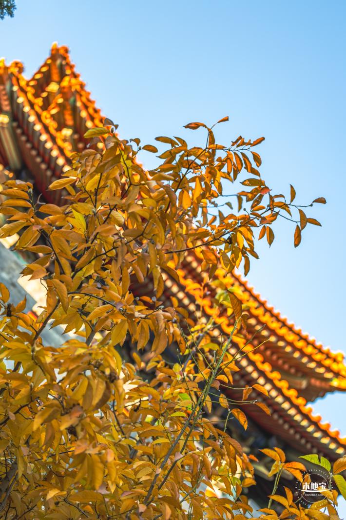 东华门外秋