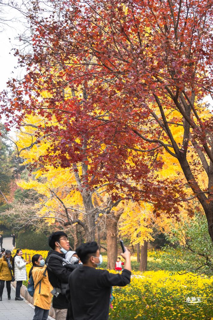 香山公园
