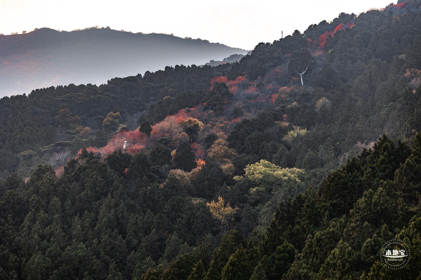 香山公园