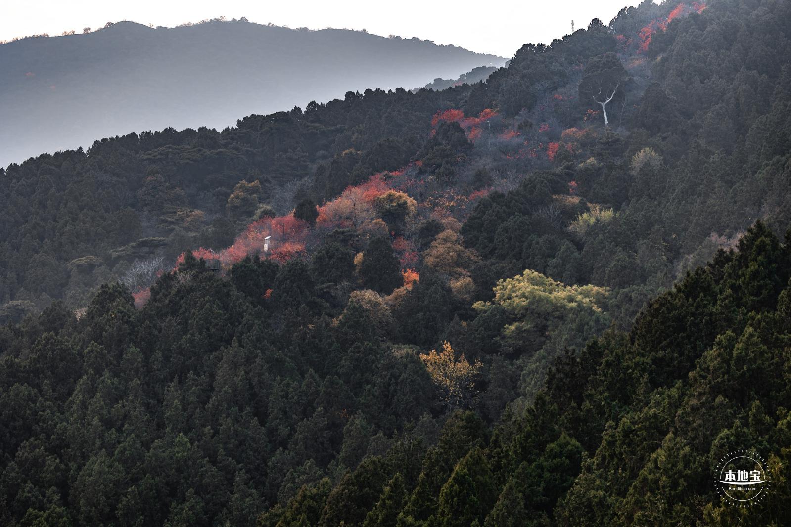 香山公园