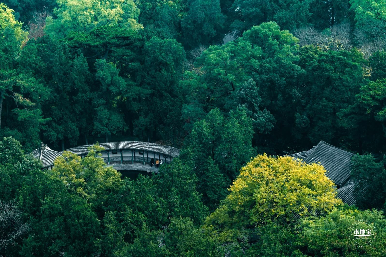 香山公园