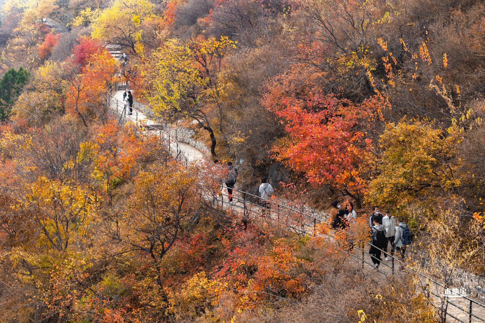 香山公园