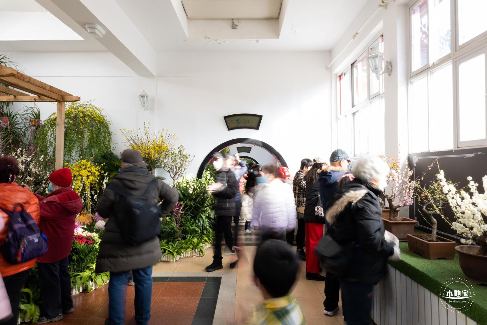 中山公园花展