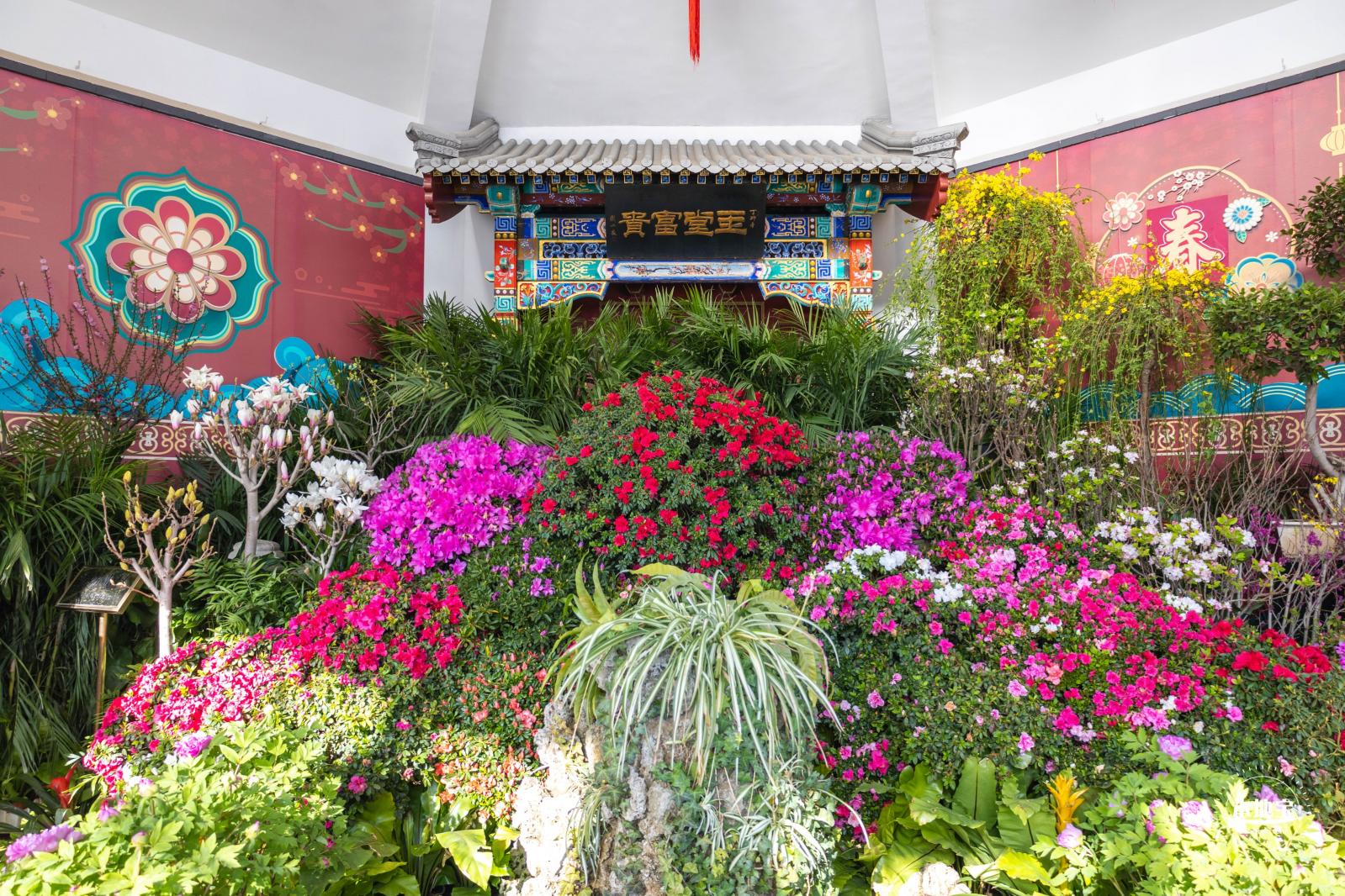中山公园花展