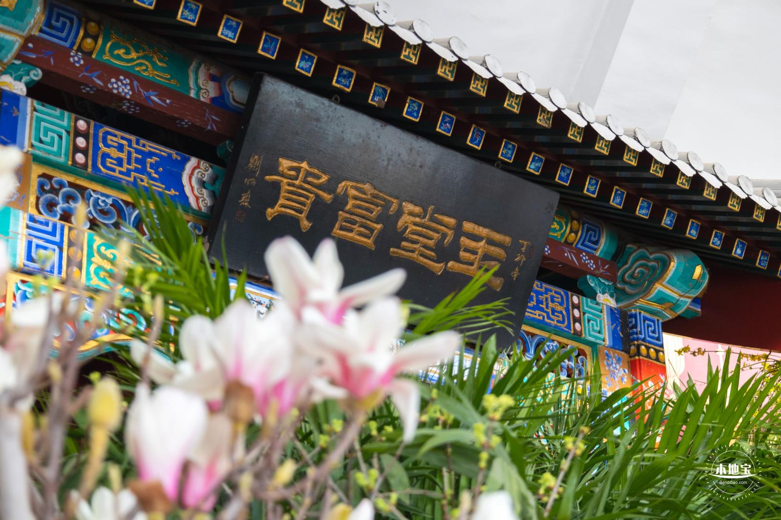 中山公园花展