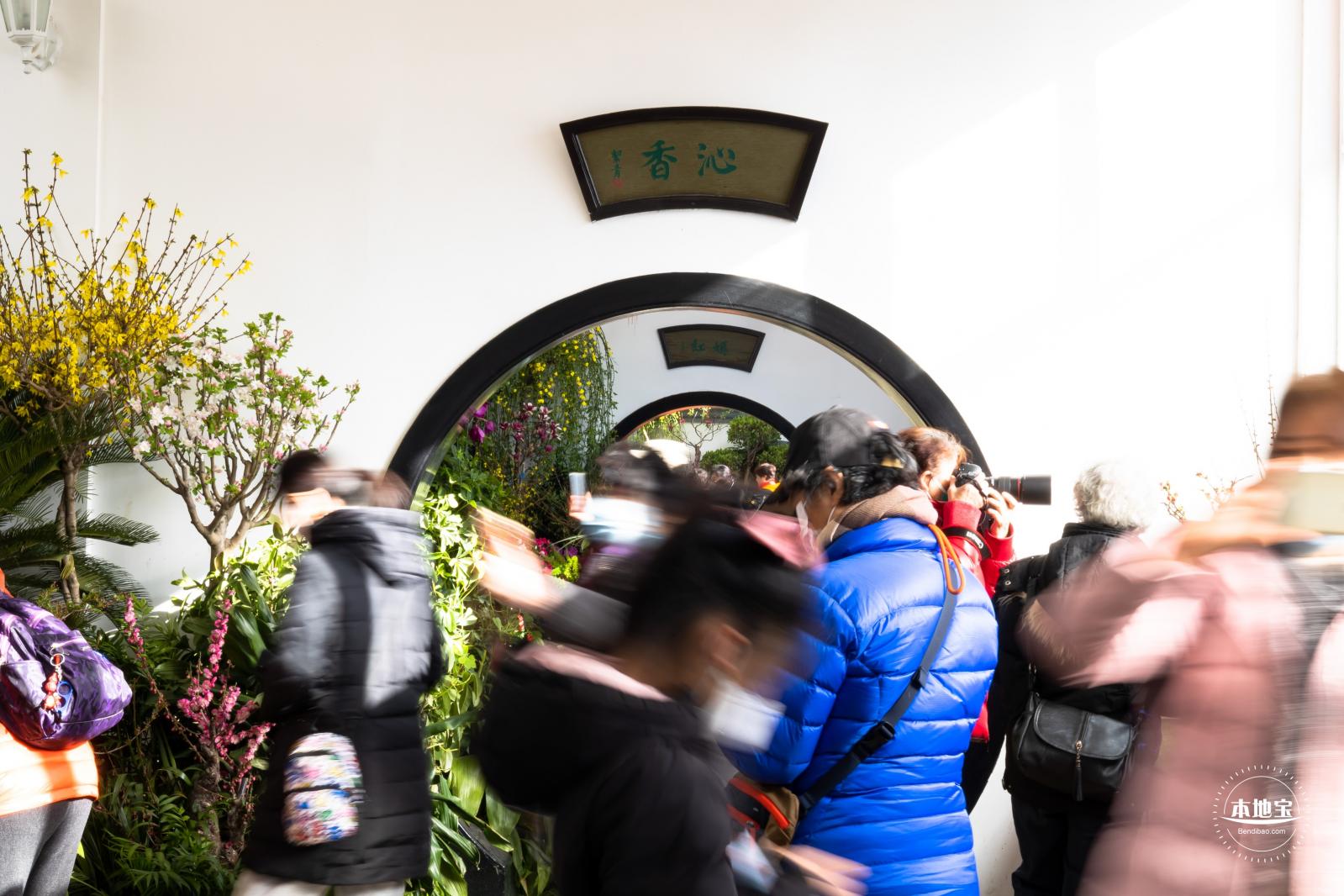 中山公园花展