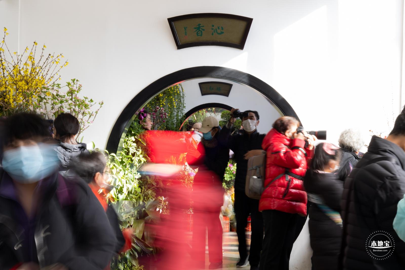 中山公园花展