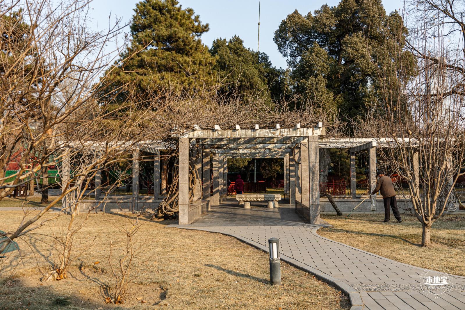 日坛公园