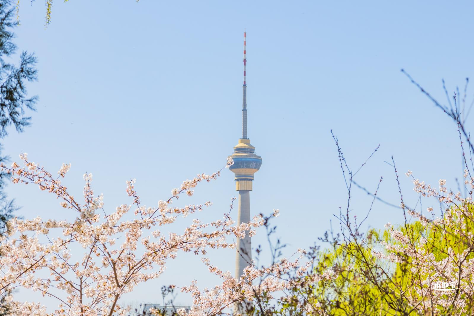 玉渊潭公园2023