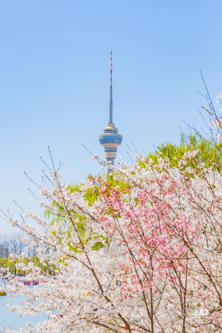 玉渊潭公园2023