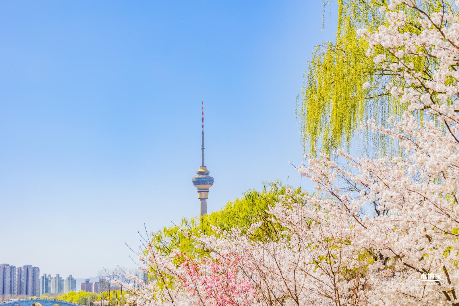 玉渊潭公园2023