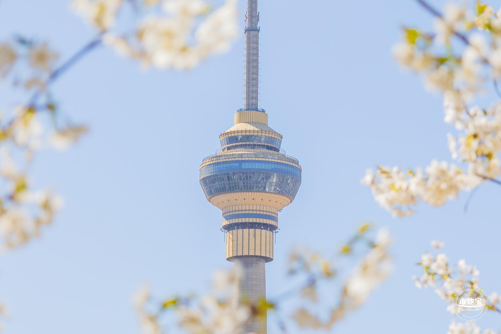 玉渊潭公园2023