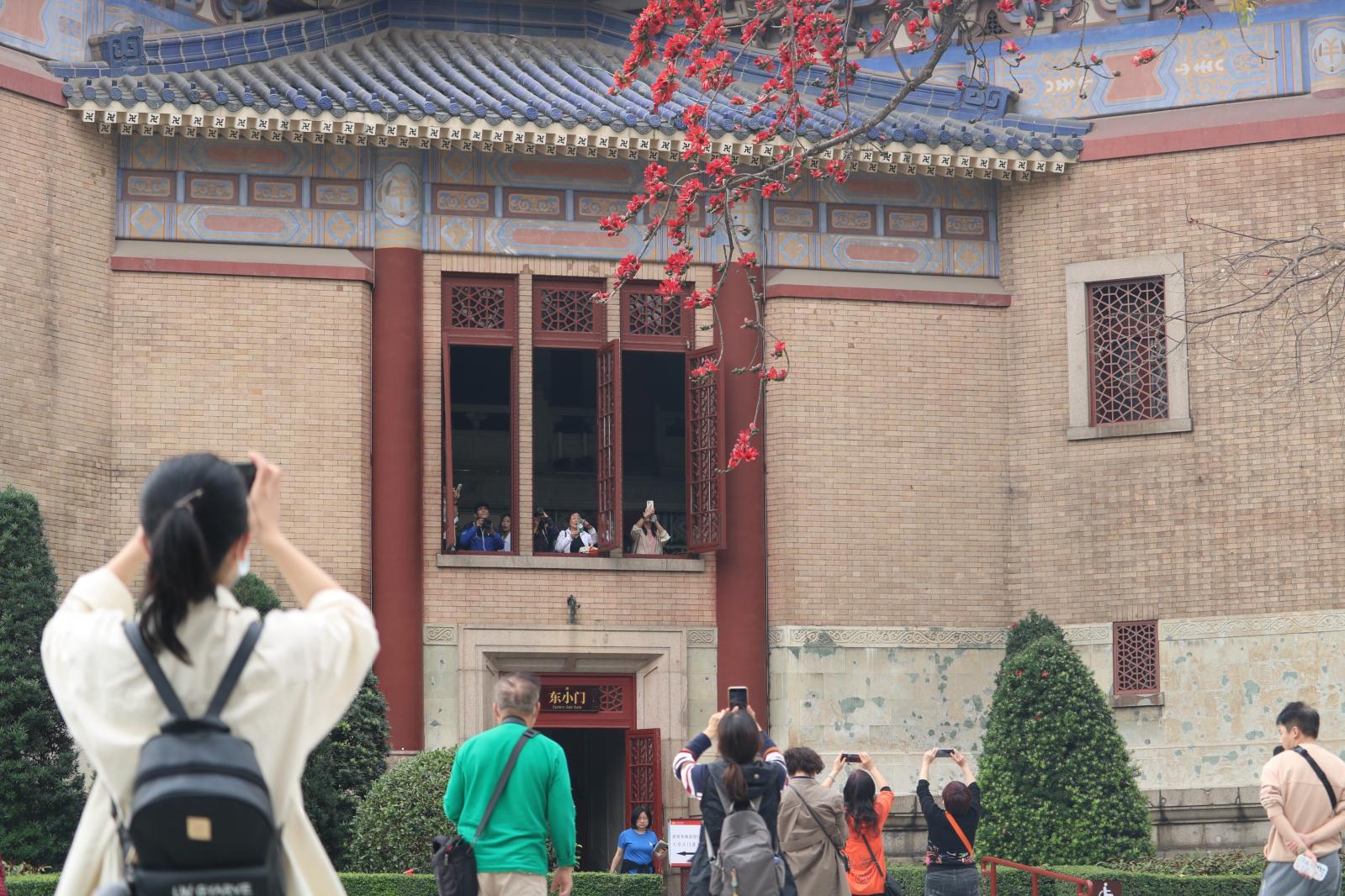 中山纪念堂木棉花