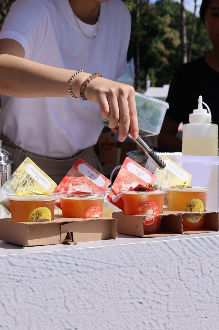 2025深圳簕杜鹃花展