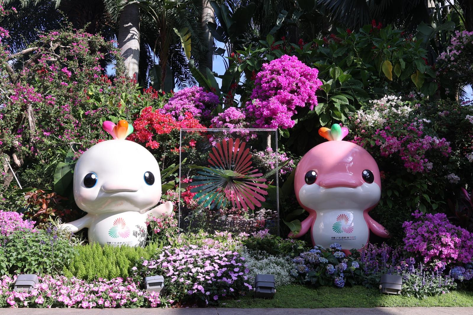 2025深圳簕杜鹃花展