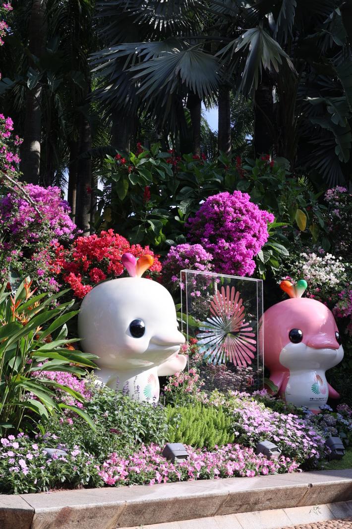 2025深圳簕杜鹃花展