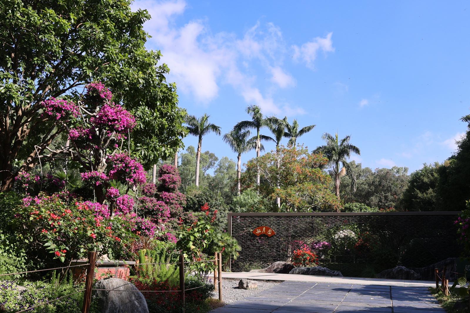 2025深圳簕杜鹃花展