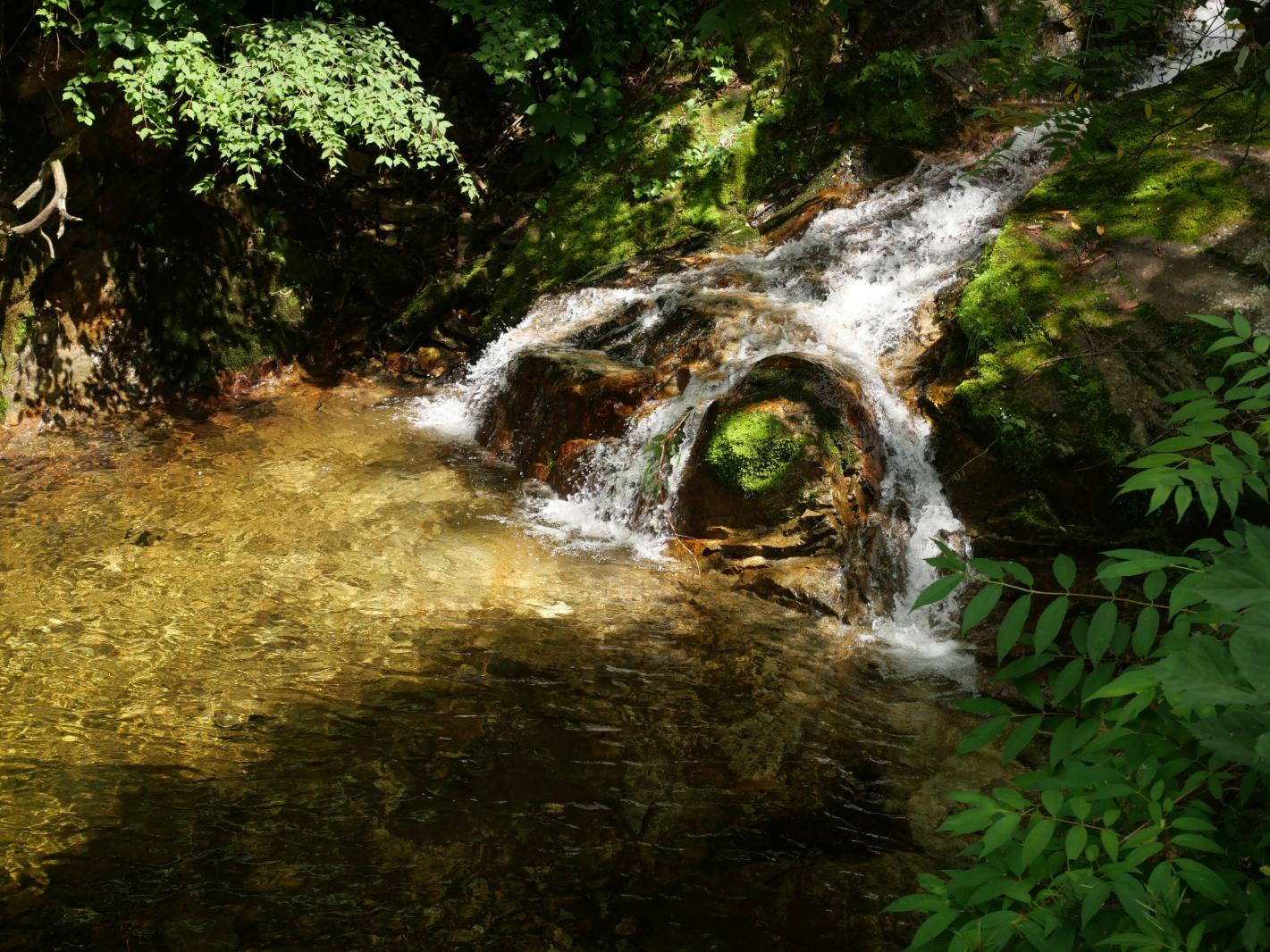 翠华山