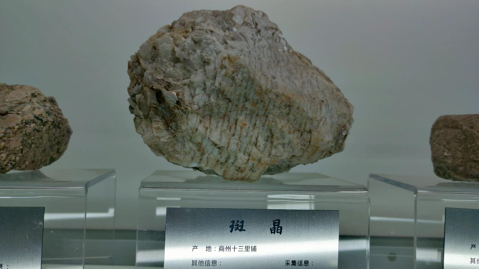 长安大学