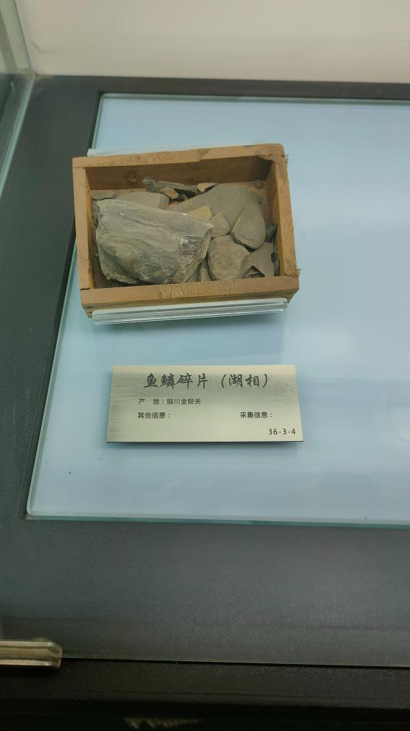 长安大学